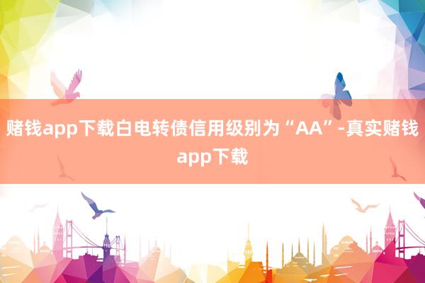 赌钱app下载白电转债信用级别为“AA”-真实赌钱app下载