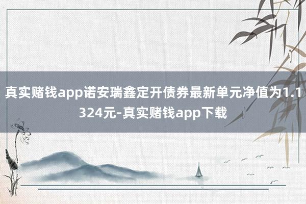 真实赌钱app诺安瑞鑫定开债券最新单元净值为1.1324元-真实赌钱app下载