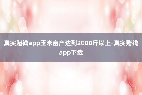 真实赌钱app玉米亩产达到2000斤以上-真实赌钱app下载