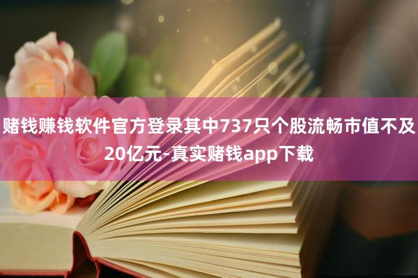 赌钱赚钱软件官方登录其中737只个股流畅市值不及20亿元-真实赌钱app下载